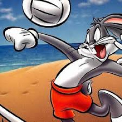 Play Looney Tunes Cartoons Volleyball now!